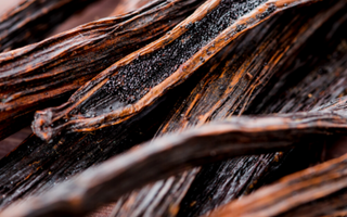 Madagascan Vanilla: The Delicious Antioxidant Rich Ingredient you need in your routine.