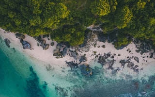 World Earth Day - Sodashi Recycling Initiative